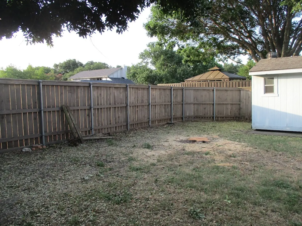 Cleared yard after professional tree removal in Canal Point